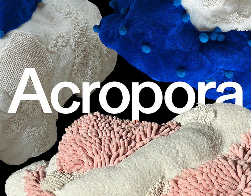 Си Цзиньпин призвал опираться на внутренний рынок для ускорения роста экономики